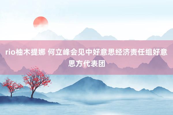rio柚木提娜 何立峰会见中好意思经济责任组好意思方代表团