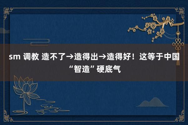 sm 调教 造不了→造得出→造得好！这等于中国“智造”硬底气