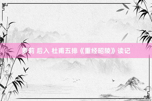 萝莉 后入 杜甫五排《重经昭陵》读记