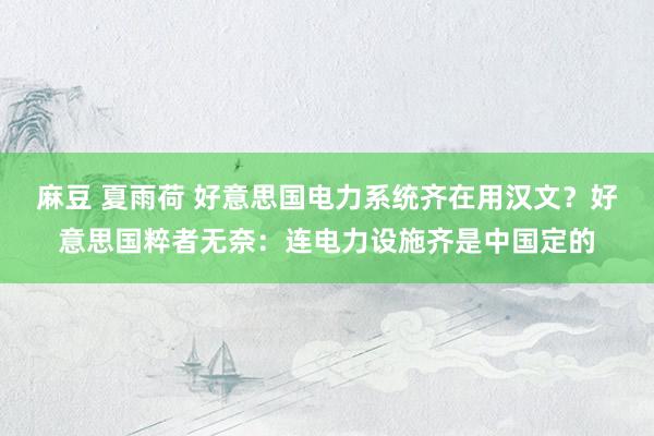 麻豆 夏雨荷 好意思国电力系统齐在用汉文？好意思国粹者无奈：连电力设施齐是中国定的