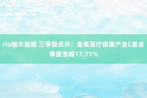 rio柚木提娜 三季报点评：金鹰医疗健康产业C基金季度涨幅17.71%