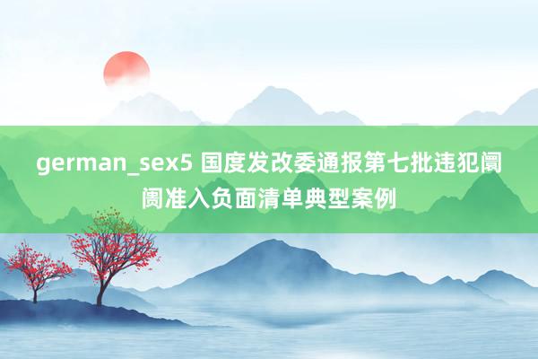 german_sex5 国度发改委通报第七批违犯阛阓准入负面清单典型案例