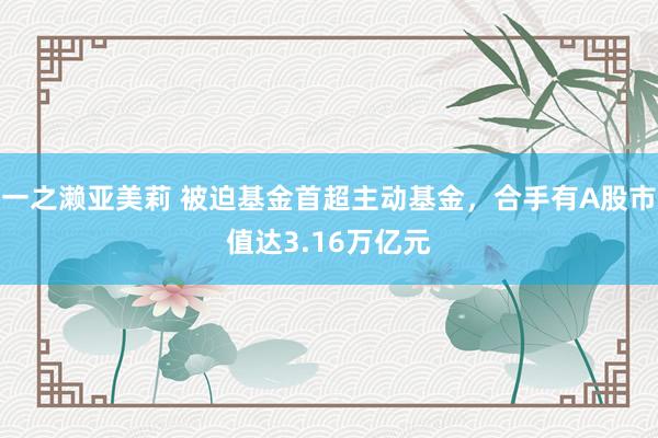 一之濑亚美莉 被迫基金首超主动基金，合手有A股市值达3.16万亿元