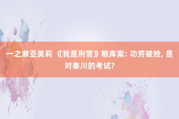 一之濑亚美莉 《我是刑警》粮库案: 功劳被抢， 是对秦川的考试?