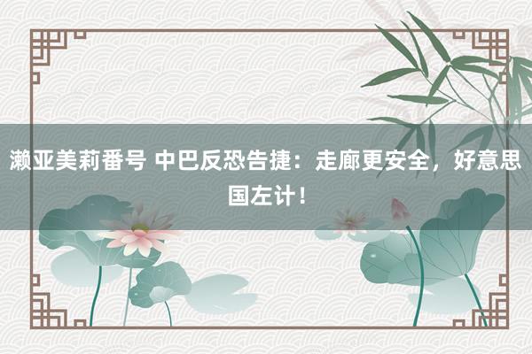 濑亚美莉番号 中巴反恐告捷：走廊更安全，好意思国左计！