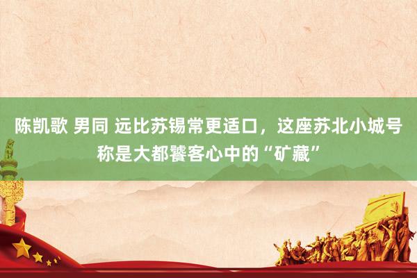 陈凯歌 男同 远比苏锡常更适口，这座苏北小城号称是大都饕客心中的“矿藏”