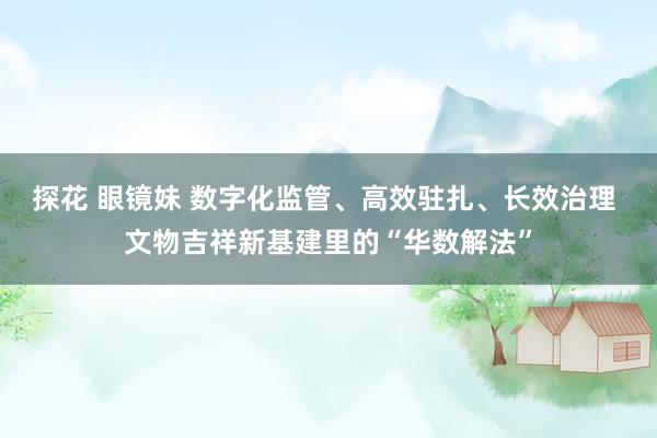 探花 眼镜妹 数字化监管、高效驻扎、长效治理 文物吉祥新基建里的“华数解法”