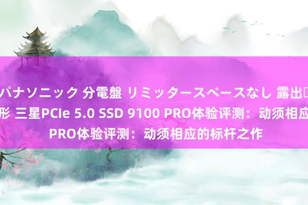 パナソニック 分電盤 リミッタースペースなし 露出・半埋込両用形 三星PCIe 5.0 SSD 9100 PRO体验评测：动须相应的标杆之作