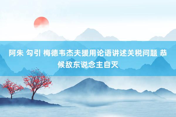 阿朱 勾引 梅德韦杰夫援用论语讲述关税问题 恭候敌东说念主自灭