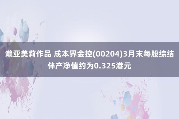 濑亚美莉作品 成本界金控(00204)3月末每股综结伴产净值约为0.325港元